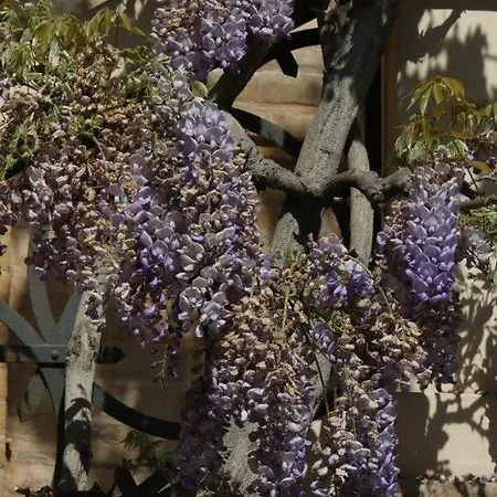 Casa Rossa *
